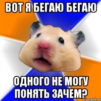 Вот я бегаю бегаю Одного не могу понять Зачем?