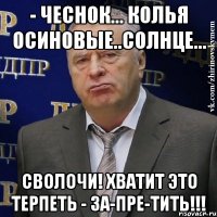 - чеснок... колья осиновые..солнце... СВОЛОЧИ! ХВАТИТ ЭТО ТЕРПЕТЬ - ЗА-ПРЕ-ТИТЬ!!!