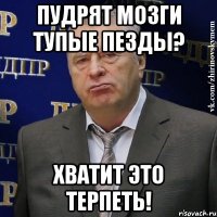 пудрят мозги тупые пезды? хватит это терпеть!