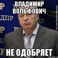 Владимир Вольфович не одобряет