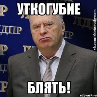 уткогубие блять!