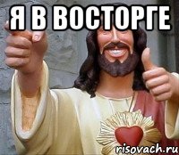 Я в восторге 