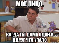 Моё лицо, Когда ты дома один и вдруг что упало