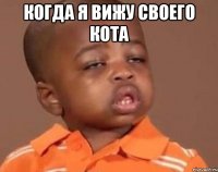 Когда Я Вижу Своего Кота 
