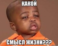 КАКОЙ СМЫСЛ ЖИЗНИ???