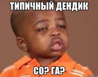 Типичный Дендик со? га?