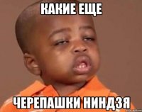КАКИЕ ЕЩЕ ЧЕРЕПАШКИ НИНДЗЯ