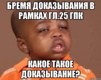 Бремя доказывания в рамках гл.25 ГПК Какое такое доказывание?