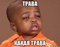 Трава Какая трава