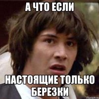 А что если настоящие только березки