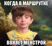 КОГДА В МАРШРУТКЕ ВОНЯЕТ МЕНСТРОЙ