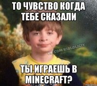 То чувство когда тебе сказали Ты играешь в minecraft?