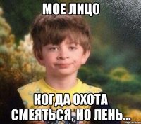 Мое лицо когда охота смеяться, но лень...