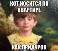 Кот носится по квартире Как придурок