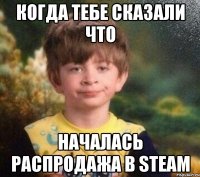 Когда тебе сказали что Началась распродажа в Steam