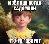 моё лицо,когда садомкин что-то говорит