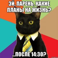 Эй, парень, какие планы на жизнь? ...После 14:30?