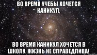 Во время учебы хочется каникул, Во время каникул хочется в школу. Жизнь не справедлива!