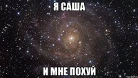 Я САША И МНЕ ПОХУЙ