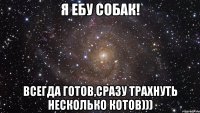 я ебу собак! всегда готов,сразу трахнуть несколько котов)))