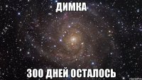 Димка 300 дней осталось