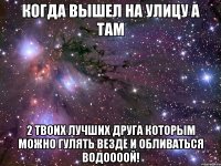 Когда вышел на улицу а там 2 твоих лучших друга которым можно гулять везде и обливаться водоооой!