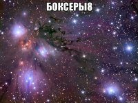 Боксеры8 