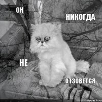 Он Никогда  Отзовется Не