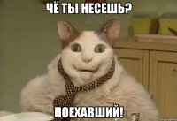 чё ты несешь? поехавший!