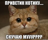 Приветик котику.... Скучаю мууурррр