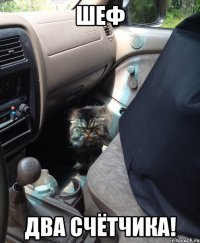 шеф два счётчика!