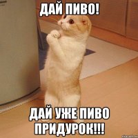 дай пиво! дай уже пиво придурок!!!