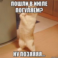 Пошли в июле погуляем? ну позяяяя...