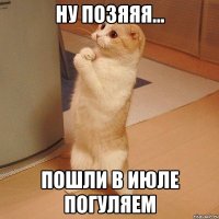 Ну позяяя... Пошли в июле погуляем