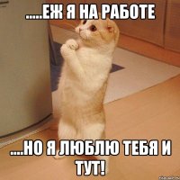 .....ЕЖ Я НА РАБОТЕ ....НО Я ЛЮБЛЮ ТЕБЯ И ТУТ!