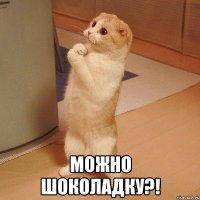  Можно шоколадку?!