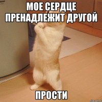 мое сердце пренадлежит другой прости
