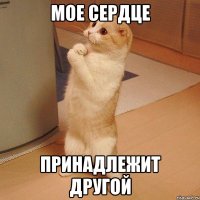 мое сердце принадлежит другой