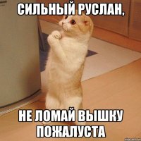 сильный руслан, не ломай вышку пожалуста
