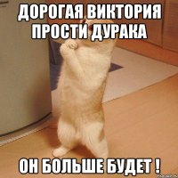 Дорогая Виктория прости дурака Он больше будет !