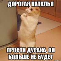 дорогая наталья прости дурака, он больше не будет