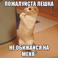 Пожалуйста Лешка Не обижайся на меня*