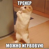 Тренер можно игрвовую