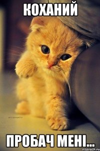 Коханий Пробач мені...