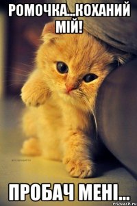 Ромочка...Коханий мій! Пробач мені...