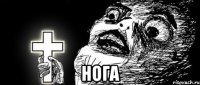  нога