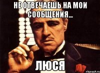 Не отвечаешь на мои сообщения... Люся