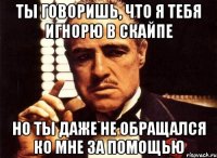 ты говоришь, что я тебя игнорю в скайпе но ты даже не обращался ко мне за помощью