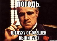 Погодь, Шелуху от орешек выкину)))