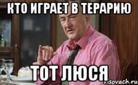 кто играет в терарию тот люся